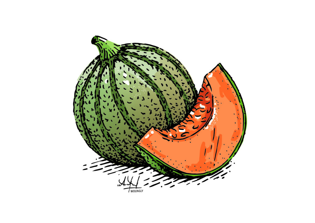 Lqj_recette_melon_photo Fondation O2